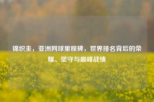 锦织圭,亚洲网球里程碑,世界排名背后的荣耀、坚守与巅峰战绩