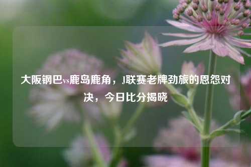 大阪钢巴vs鹿岛鹿角,J联赛老牌劲旅的恩怨对决,今日比分揭晓