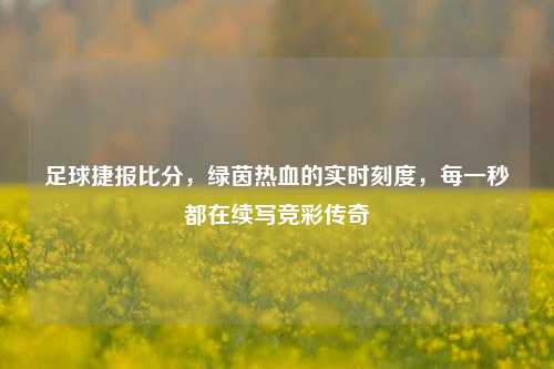 足球捷报比分,绿茵热血的实时刻度,每一秒都在续写竞彩传奇