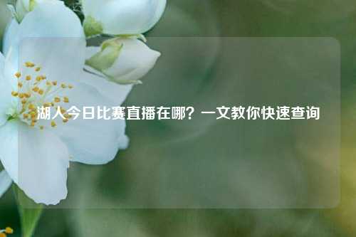 湖人今日比赛直播在哪?一文教你快速查询