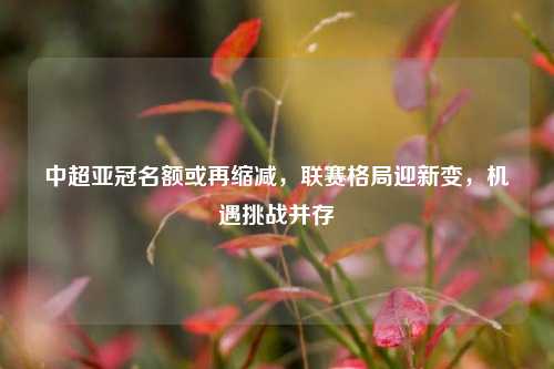 中超亚冠名额或再缩减,联赛格局迎新变,机遇挑战并存