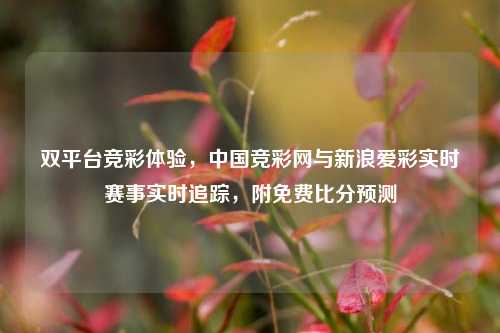 双平台竞彩体验，中国竞彩网与新浪爱彩实时赛事实时追踪，附免费比分预测