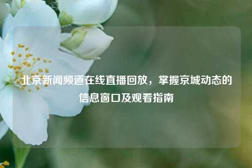 北京新闻频道在线直播回放，掌握京城动态的信息窗口及观看指南