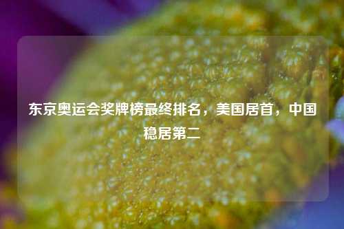 东京奥运会奖牌榜最终排名，美国居首，中国稳居第二