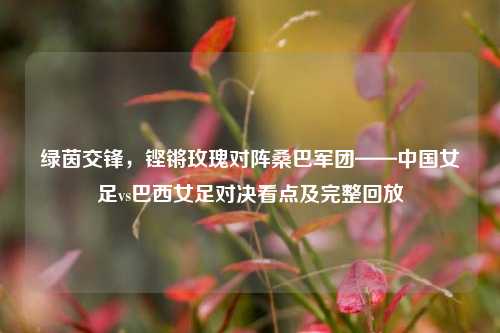 绿茵交锋，铿锵玫瑰对阵桑巴军团——中国女足vs巴西女足对决看点及完整回放