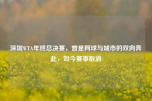 深圳WTA年终总决赛,曾是网球与城市的双向奔赴,如今赛事取消