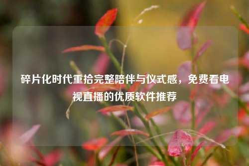 碎片化时代重拾完整陪伴与仪式感，免费看电视直播的优质软件推荐