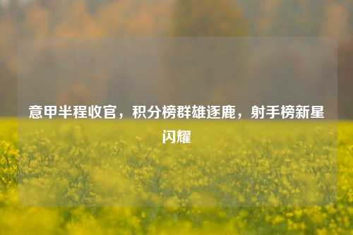 意甲半程收官，积分榜群雄逐鹿，射手榜新星闪耀