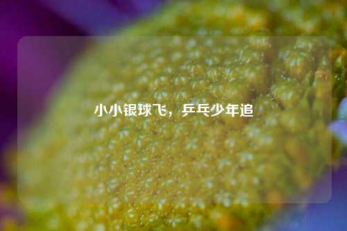 小小银球飞，乒乓少年追
