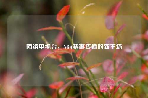 详细阅读: 电视台,NBA赛事传播的新主场 电视台,NBA赛事传播的新主场