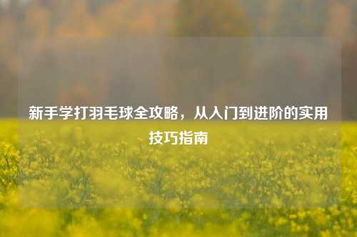 新手学打羽毛球全攻略，从入门到进阶的实用技巧指南