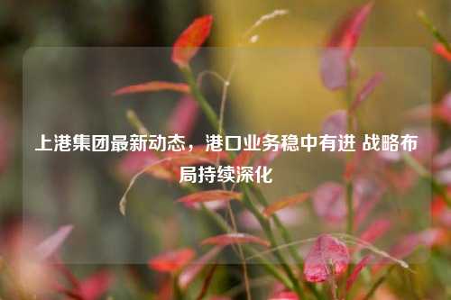 上港集团最新动态，港口业务稳中有进 战略布局持续深化