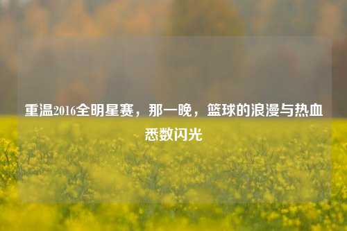 重温2016全明星赛，那一晚，篮球的浪漫与热血悉数闪光