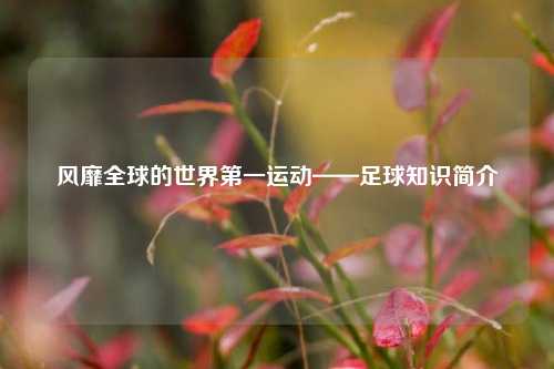 详细阅读:风靡全球的世界之一运动——足球知识简介 风靡全球的世界之一运动——足球知识简介