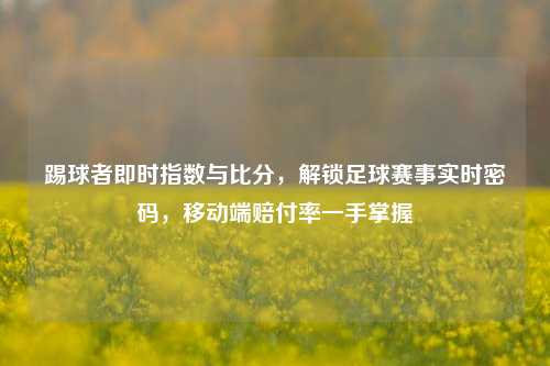 踢球者即时指数与比分，解锁足球赛事实时密码，移动端赔付率一手掌握