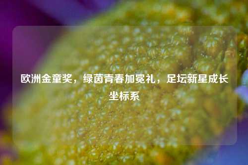 欧洲金童奖，绿茵青春加冕礼，足坛新星成长坐标系