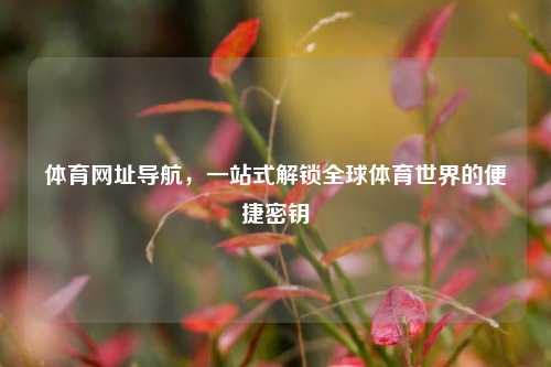 详细阅读:体育网址导航,一站式解锁全球体育世界的便捷密钥 体育网址导航,一站式解锁全球体育世界的便捷密钥