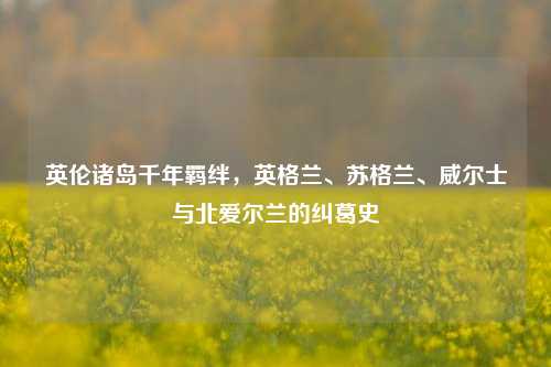 英伦诸岛千年羁绊，英格兰、苏格兰、威尔士与北爱尔兰的纠葛史