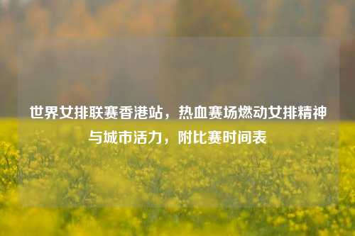 世界女排联赛香港站,热血赛场燃动女排精神与城市活力,附比赛时间表
