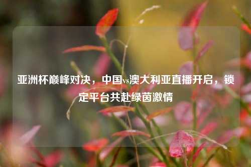 亚洲杯巅峰对决，中国vs澳大利亚直播开启，锁定平台共赴绿茵     