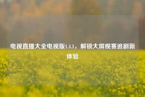 电视直播大全电视版1.4.1，解锁大屏观赛追剧新体验