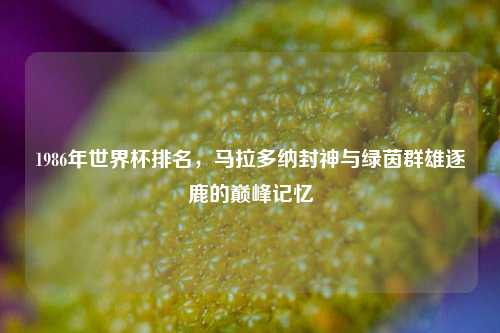 1986年世界杯排名，马拉多纳封神与绿茵群雄逐鹿的巅峰记忆
