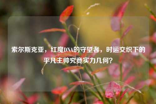 索尔斯克亚，红魔DNA的守望者，时运交织下的平凡主帅究竟实力几何？