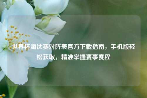 世界杯淘汰赛对阵表官方下载指南，手机版轻松获取，精准掌握赛事赛程