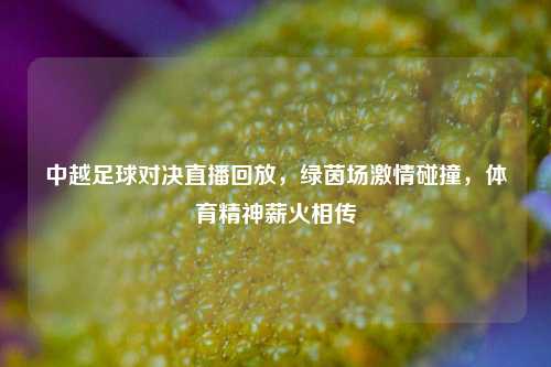 中越足球对决直播回放，绿茵场     碰撞，体育精神薪火相传
