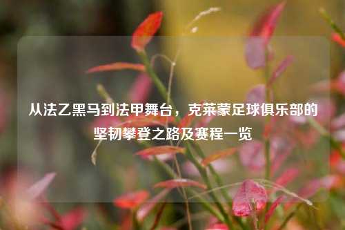 从法乙黑马到法甲舞台，克莱蒙足球俱乐部的坚韧攀登之路及赛程一览