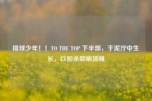 排球少年!!TO THE TOP 下半部,于泥泞中生长,以扣杀叩响顶峰