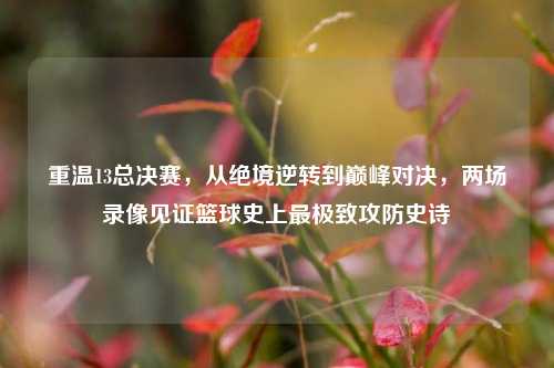 重温13总决赛，从绝境逆转到巅峰对决，两场录像见证篮球史上最极致攻防史诗
