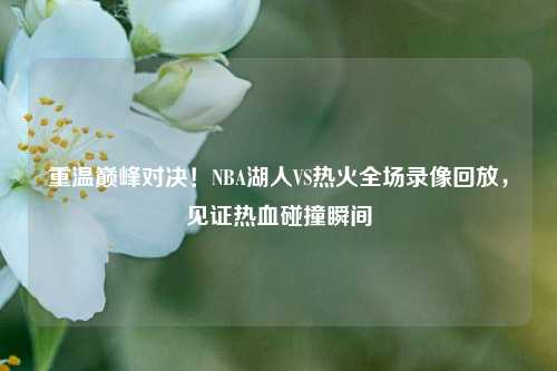 重温巅峰对决！NBA湖人VS热火全场录像回放，见证热血碰撞瞬间