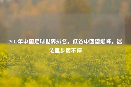 2019年中国足球世界排名，低谷中回望巅峰，迷茫里步履不停