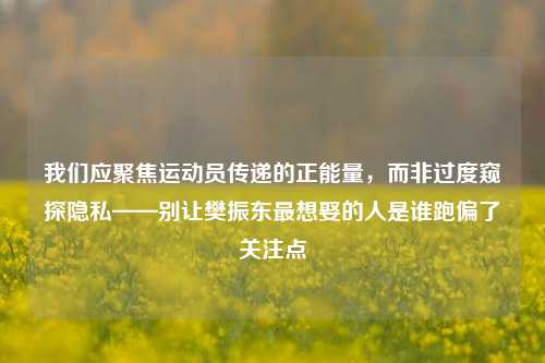 我们应聚焦运动员传递的正能量，而非过度窥探隐私——别让樊振东最想娶的人是谁跑偏了关注点