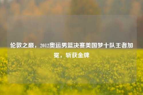 伦敦之巅,2012奥运男篮决赛美国梦十队王者加冕,斩获金牌