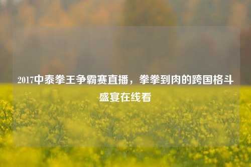 2017中泰拳王争霸赛直播，拳拳到肉的跨国格斗盛宴在线看