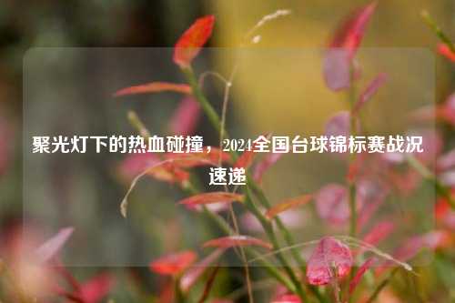 聚光灯下的热血碰撞，2024全国台球锦标赛战况速递