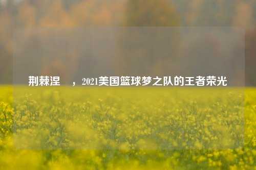 荆棘涅槃，2021美国篮球梦之队的王者荣光