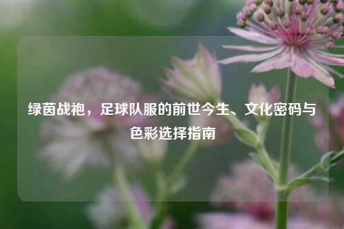 绿茵战袍，足球队服的前世今生、文化密码与色彩选择指南