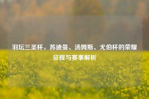 羽坛三圣杯，苏迪曼、汤姆斯、尤伯杯的荣耀征程与赛事解析