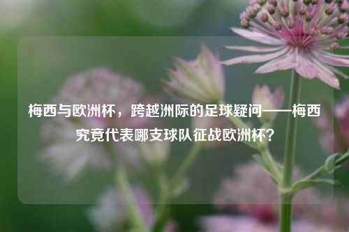 梅西与欧洲杯，跨越洲际的足球疑问——梅西究竟代表哪支球队征战欧洲杯？