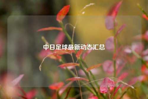 中日足球最新动态汇总