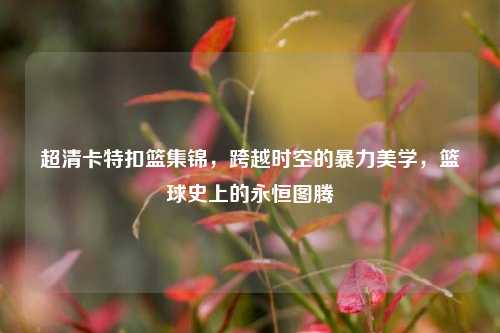 超清卡特扣篮集锦，跨越时空的暴力美学，篮球史上的永恒图腾