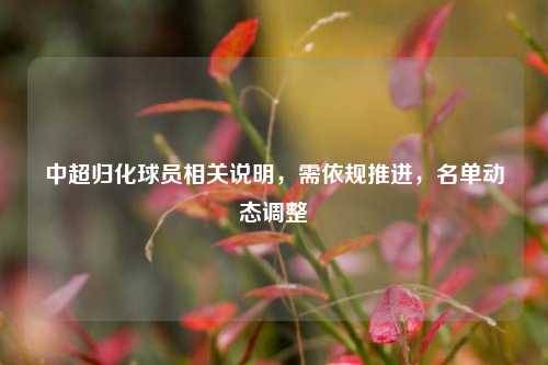 中超归化球员相关说明，需依规推进，名单动态调整