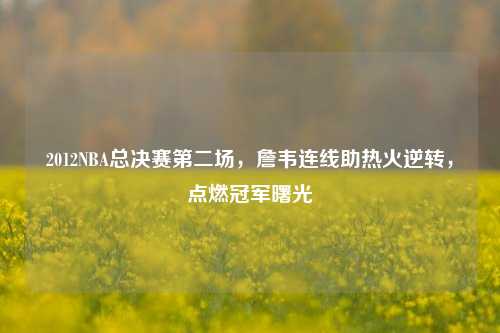 2012NBA总决赛第二场，詹韦连线助热火逆转，点燃冠军曙光