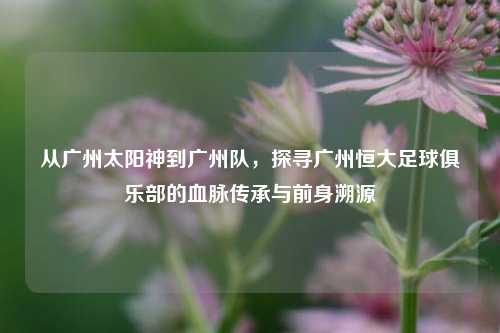 从广州太阳神到广州队，探寻广州恒大足球俱乐部的血脉传承与前身溯源