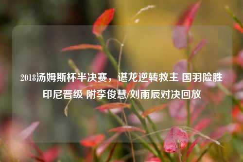 2018汤姆斯杯半决赛，谌龙逆转救主 国羽险胜印尼晋级 附李俊慧/刘雨辰对决回放