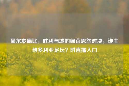 墨尔本德比，胜利与城的绿茵恩怨对决，谁主维多利亚足坛？附直播入口