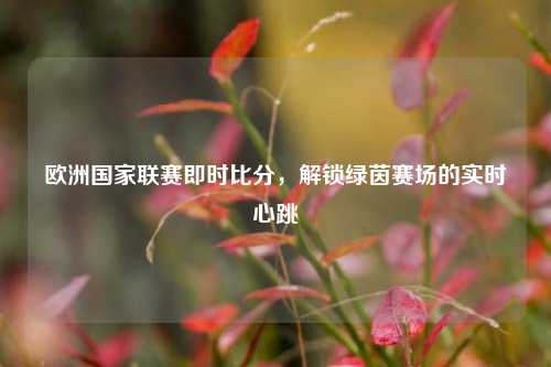 欧洲国家联赛即时比分，解锁绿茵赛场的实时心跳